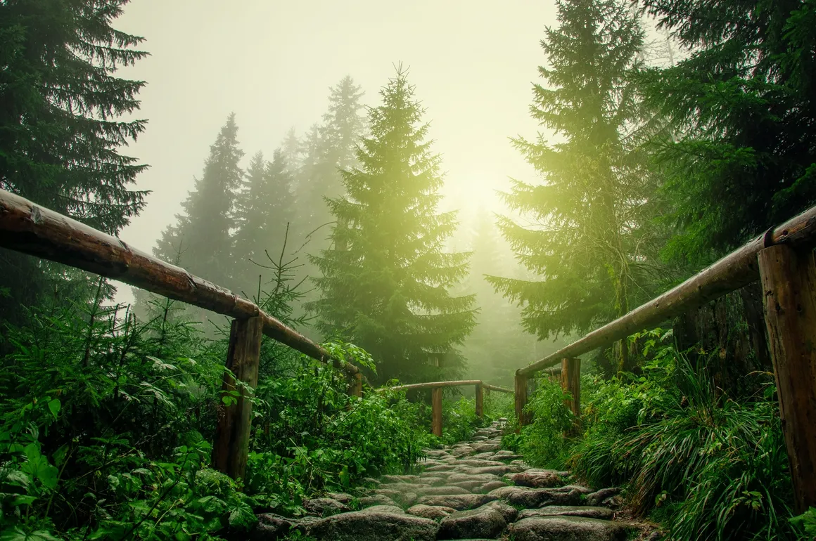 Background
